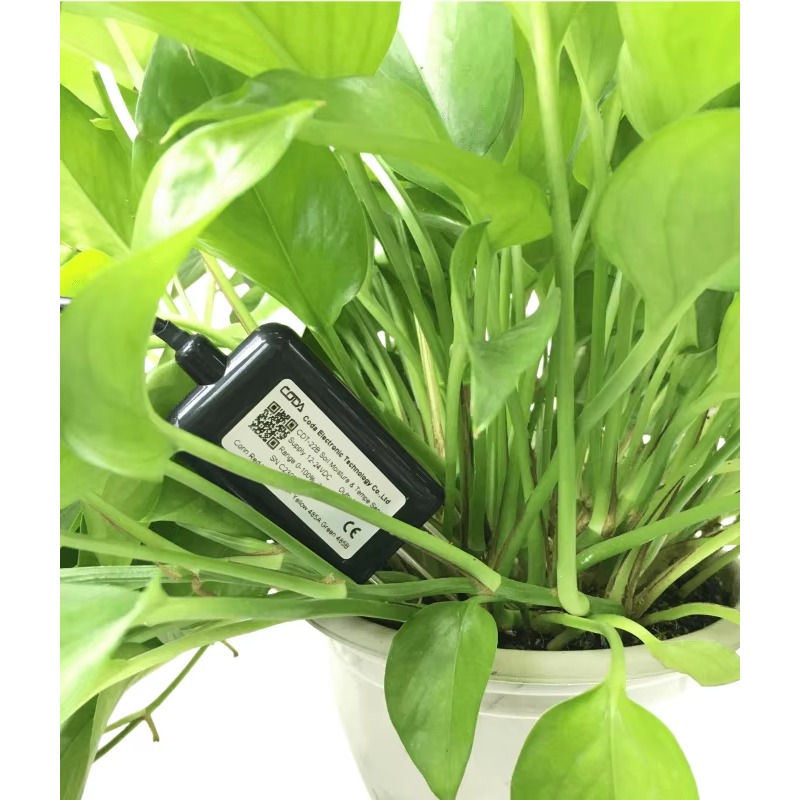 CDT-30B Rs485 0-2v Output Plan - Soil Moisture Sensor ulasan dan harga