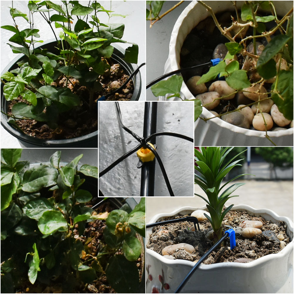 Greenhouse Potted Curved Arrow - Irrigation Drip Tape ulasan dan harga
