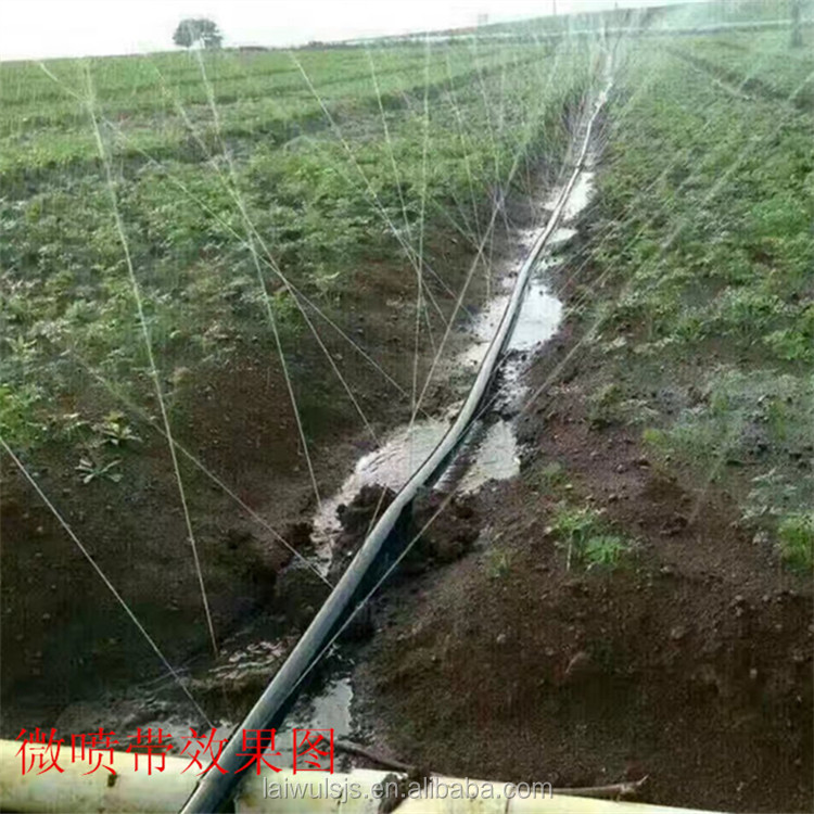 16mm PE Drip Tape Irrigation K - Irrigation Drip Tape ulasan dan harga